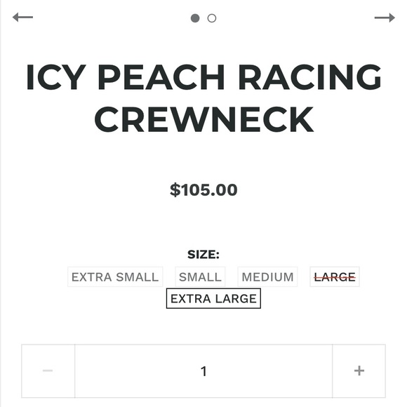 SHADOW HILL ICY PEACH RACING CREWNECK - Picture 2 of 5